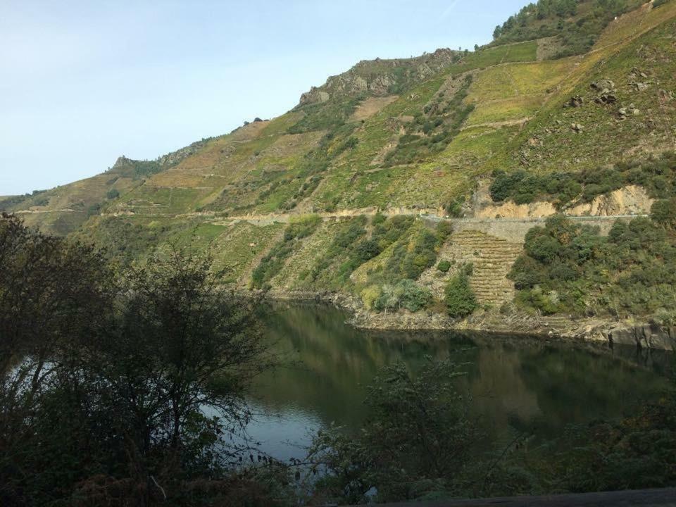 Acogedor Apartamento Ribeira Sacra มงฟอร์เต เด เลมอส ภายนอก รูปภาพ