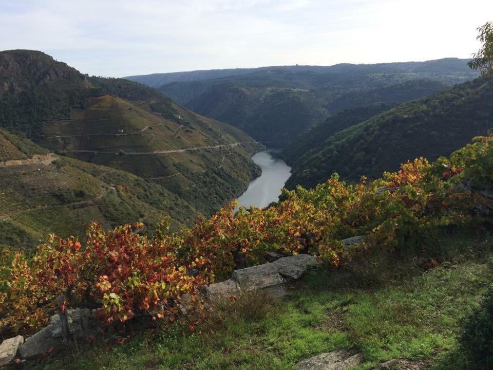 Acogedor Apartamento Ribeira Sacra มงฟอร์เต เด เลมอส ภายนอก รูปภาพ